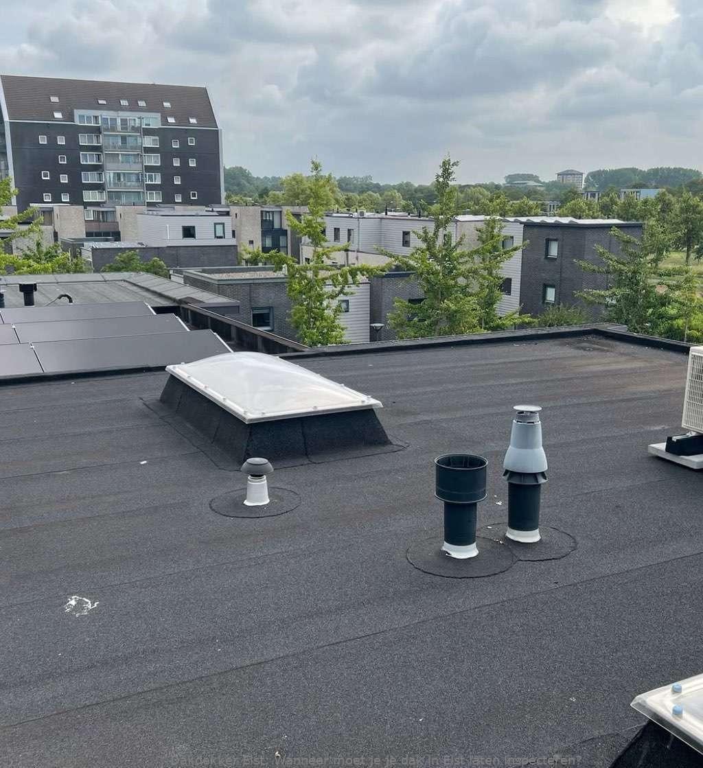 Dak Laten Inspecteren Elst
