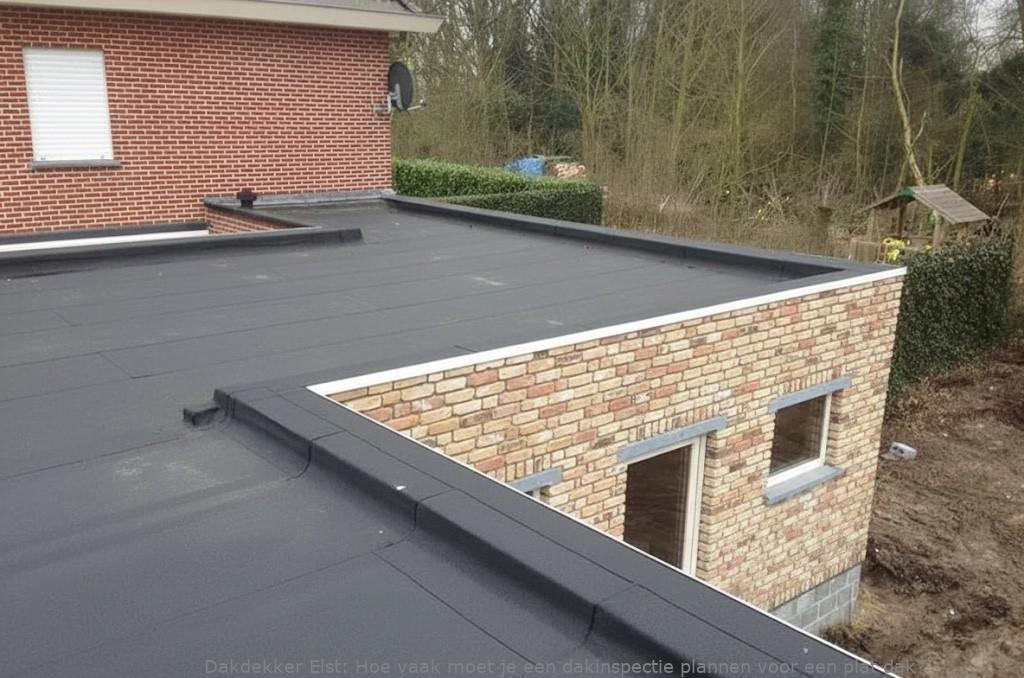Dakinspectie Plat Dak Elst