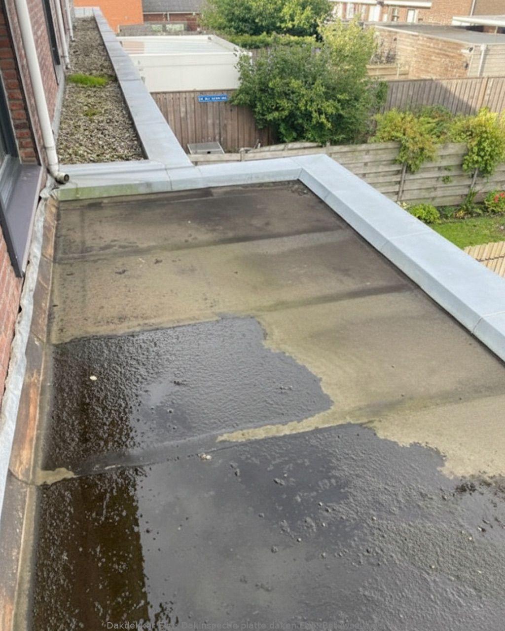 Dakinspectie Platte Daken Elst