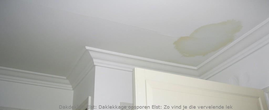 Daklekkage Opsporen Elst 1