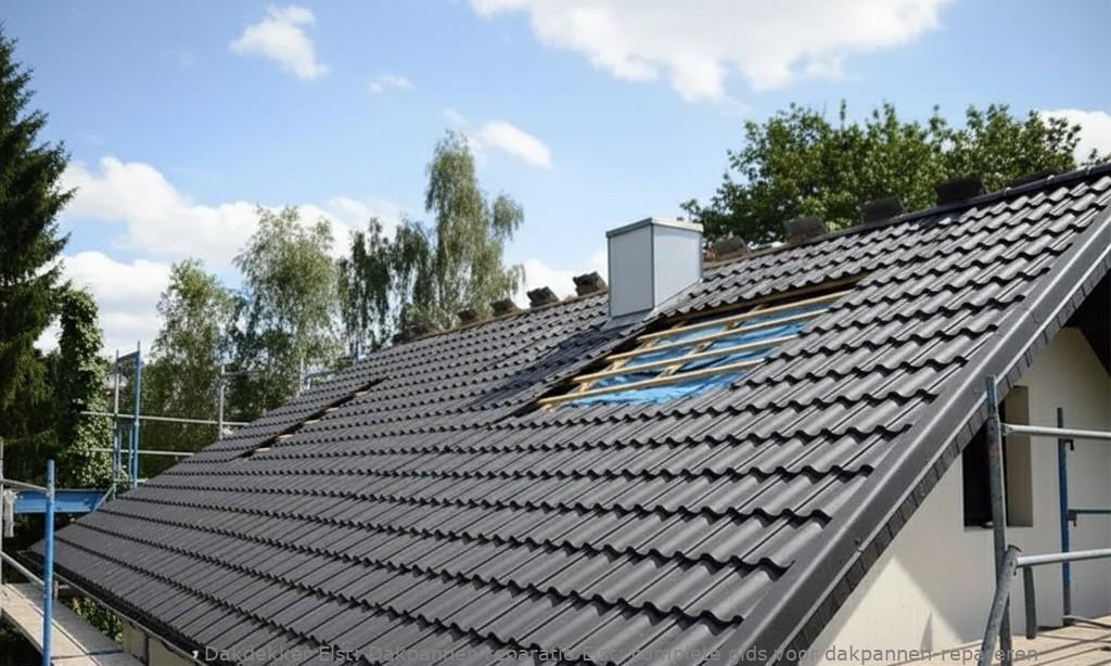 Dakpannen Reparatie Elst