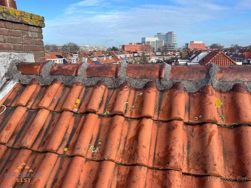 Elst Daken Renoveren