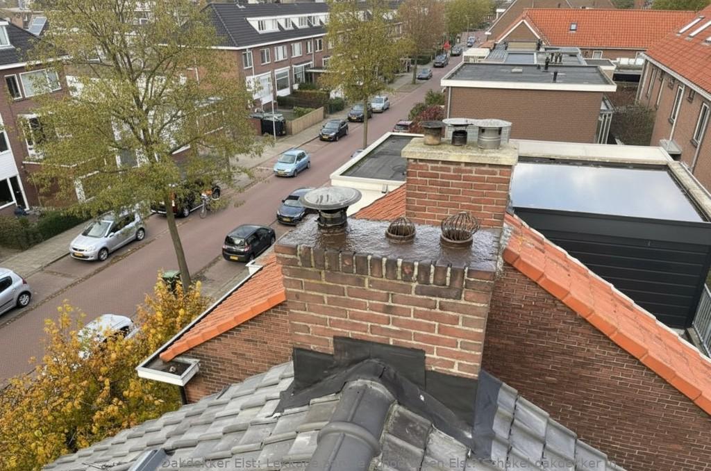 Lekkage Aan De Schoorsteen Elst