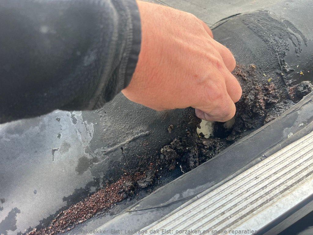 Lekkage Plat Dak Elst 1
