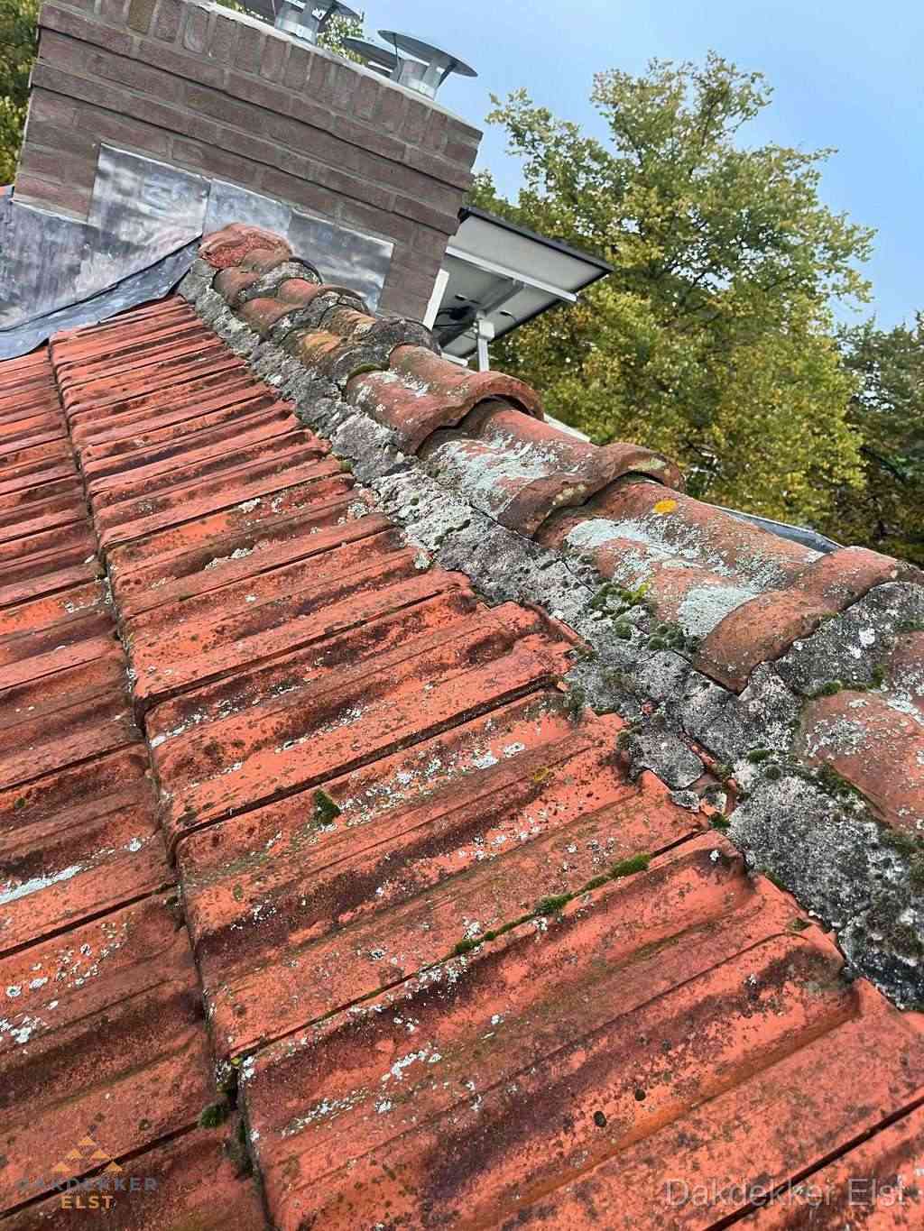 Renovatie Hellend Dak Elst