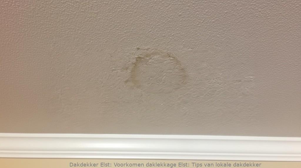 Voorkomen Daklekkage Elst