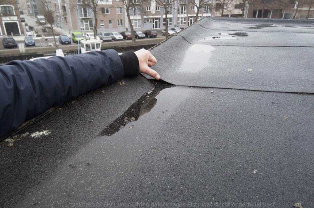 Voorkomen Daklekkages Elst